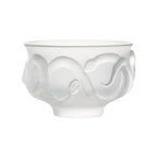 Snake Year Glass Tea Set