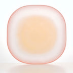 Nubi Large Dinner Plate