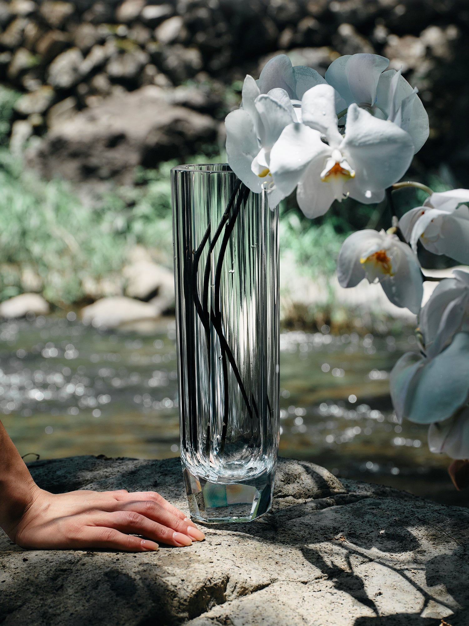 Quiet forms for inward hours.