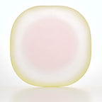 Close-up of Nubi Large Dinner Plate showing matte texture, irregular base pattern, and softly blended color detail