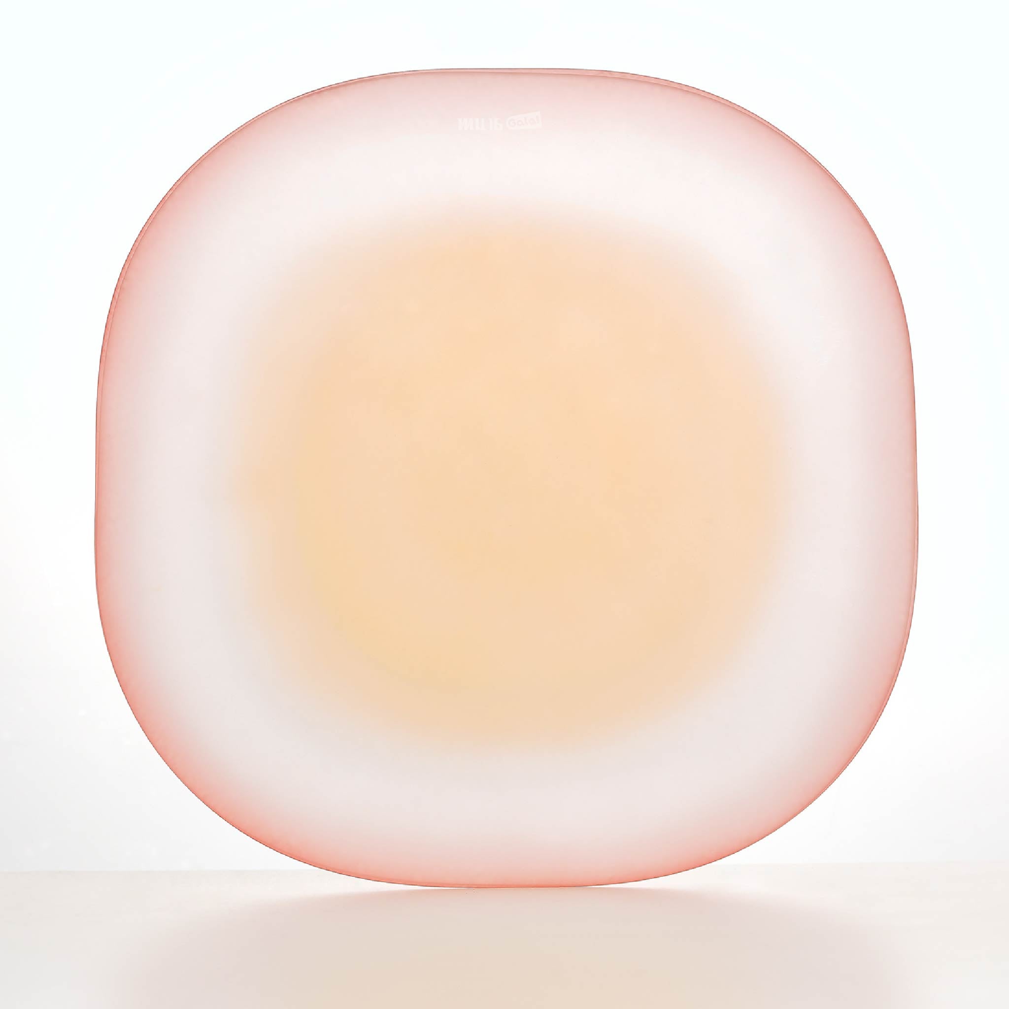 Close-up of Nubi Large Dinner Plate showing matte texture, irregular base pattern, and softly blended color detail