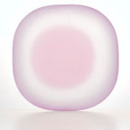 Close-up of Nubi Large Dinner Plate showing matte texture, irregular base pattern, and softly blended color detail
